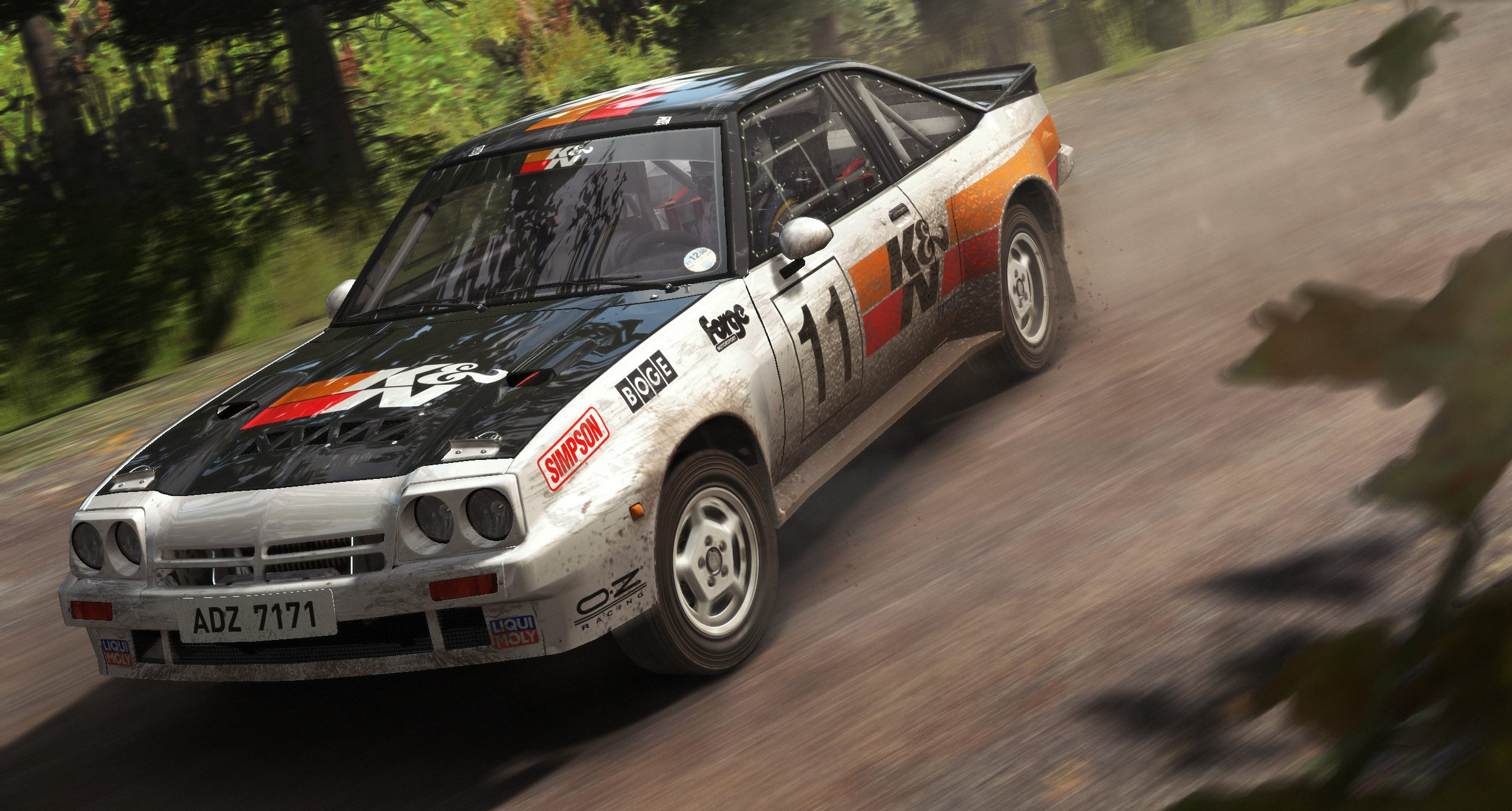 DiRT Rally - Imagen 29